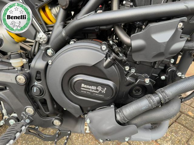 benelli - leoncino-800