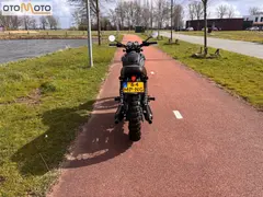 Kawasaki W800 Black Edition 2015 occasion – foto 4 van 21