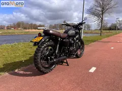 Kawasaki W800 Black Edition 2015 occasion – foto 3 van 21