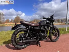 Kawasaki W800 Black Edition 2015 occasion – foto 2 van 21