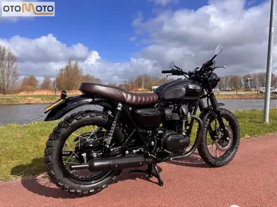 KAWASAKI W800 BLACK EDITION – foto 2