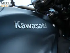 Kawasaki Z 900 2017 occasion – foto 10 van 18
