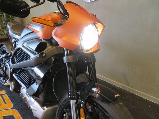 harley-davidson - livewire