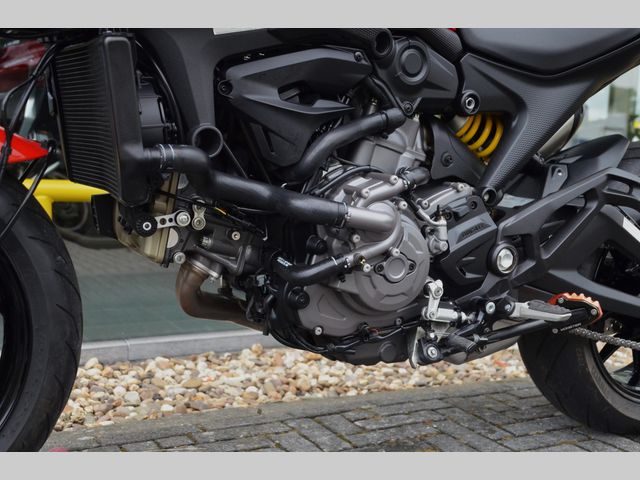 ducati - monster