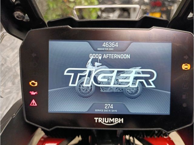 triumph - tiger-900-gt-pro