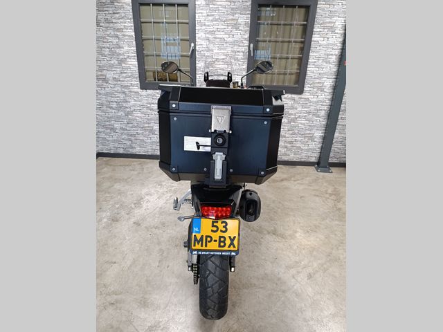 triumph - tiger-900-gt-pro