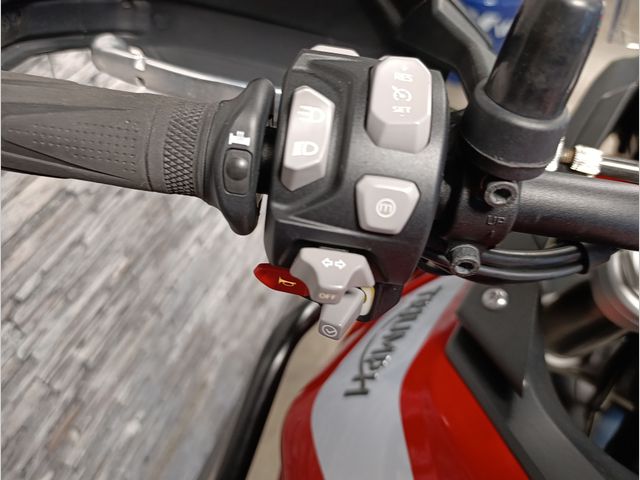 triumph - tiger-900-gt-pro