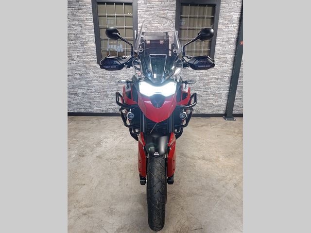 triumph - tiger-900-gt-pro