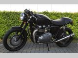 TRIUMPH THRUXTON 900