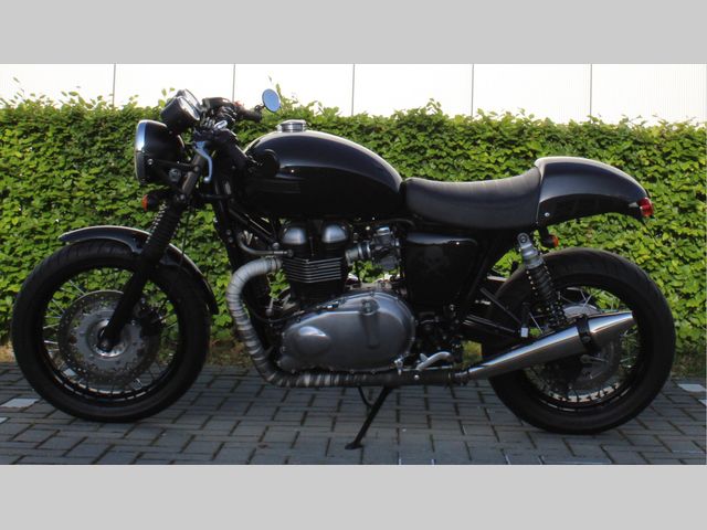 triumph - thruxton-900