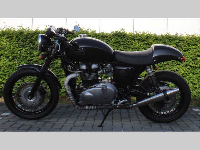 triumph - thruxton-900
