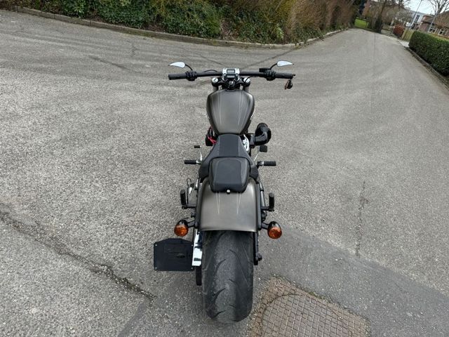 harley-davidson - breakout