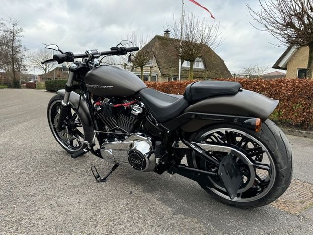 harley-davidson - breakout
