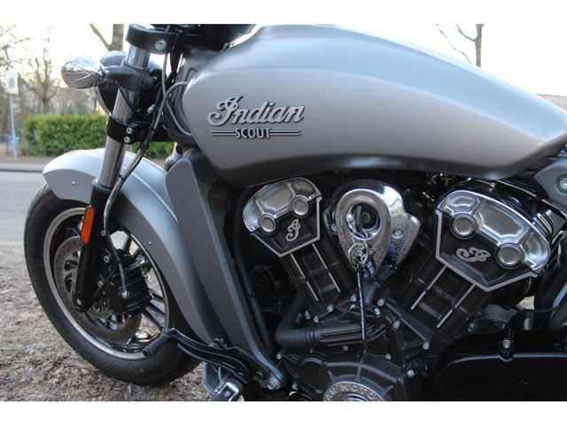 indian - scout