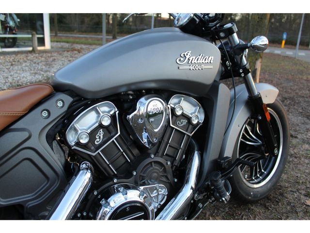 indian - scout