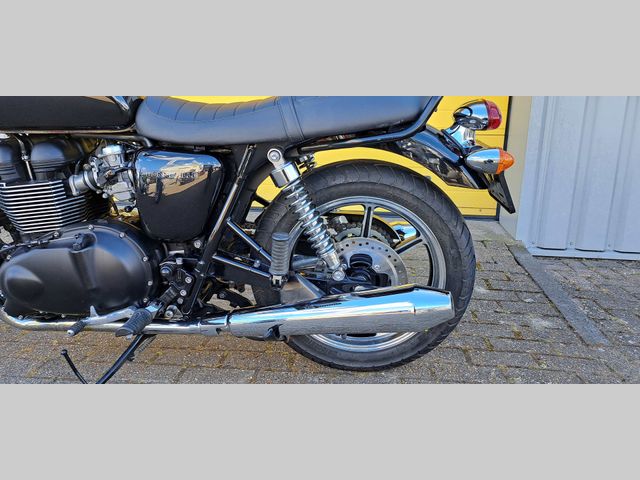 triumph - bonneville