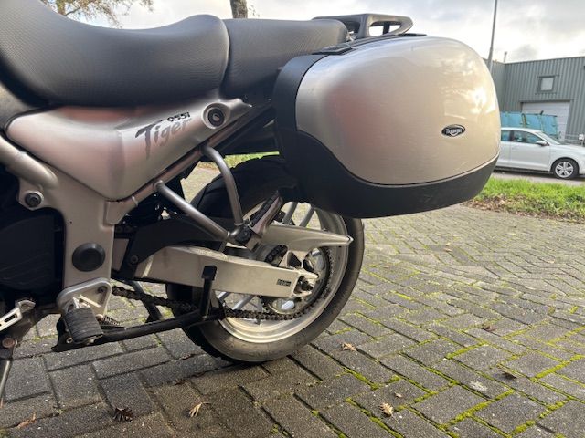 triumph - 955-i-tiger
