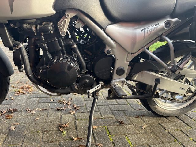 triumph - 955-i-tiger