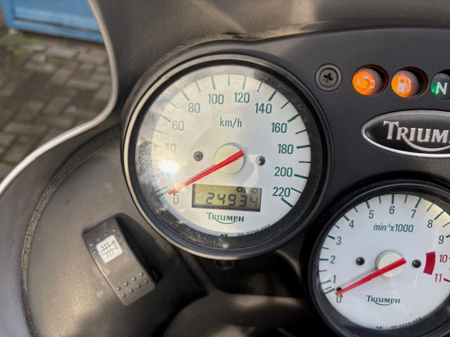 triumph - 955-i-tiger