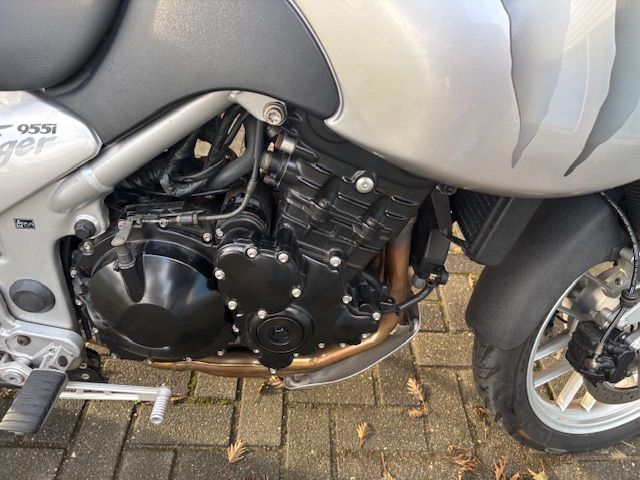 triumph - 955-i-tiger