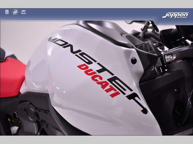ducati - monster