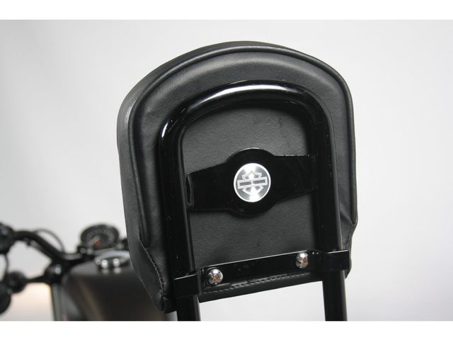 harley-davidson - sportster-forty-eight-xl-1200-x