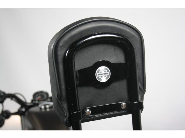 harley-davidson - sportster-forty-eight-xl-1200-x