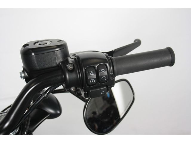 harley-davidson - sportster-forty-eight-xl-1200-x