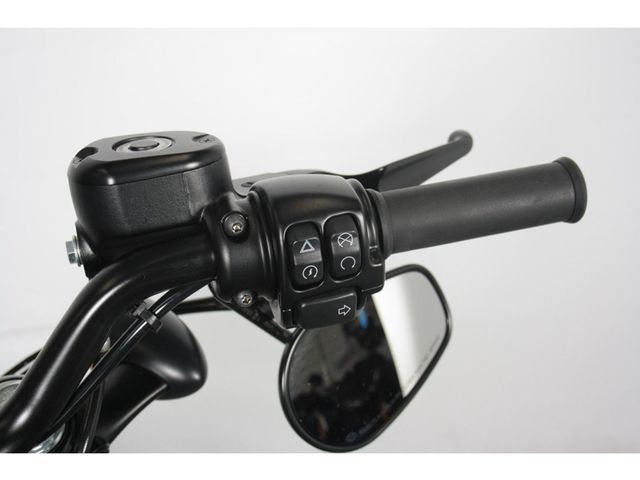 harley-davidson - sportster-forty-eight-xl-1200-x