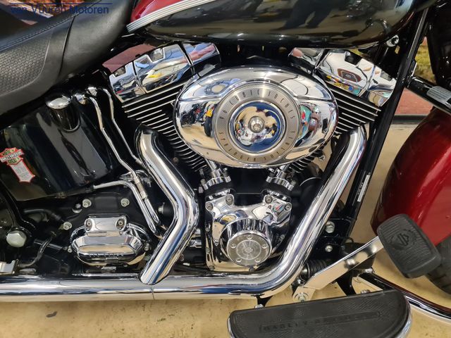 harley-davidson - springer-classic-flstsc-softail