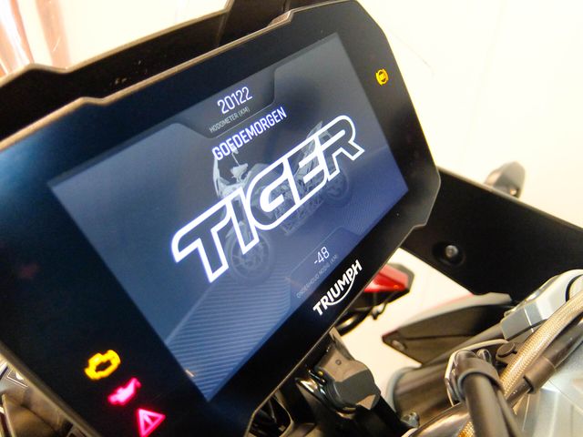 triumph - tiger-900-gt-pro