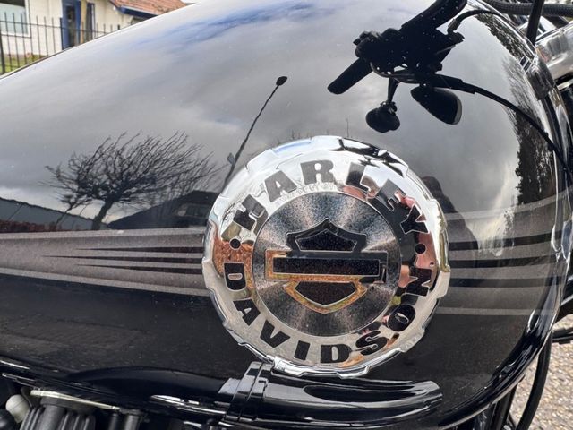 harley-davidson - breakout