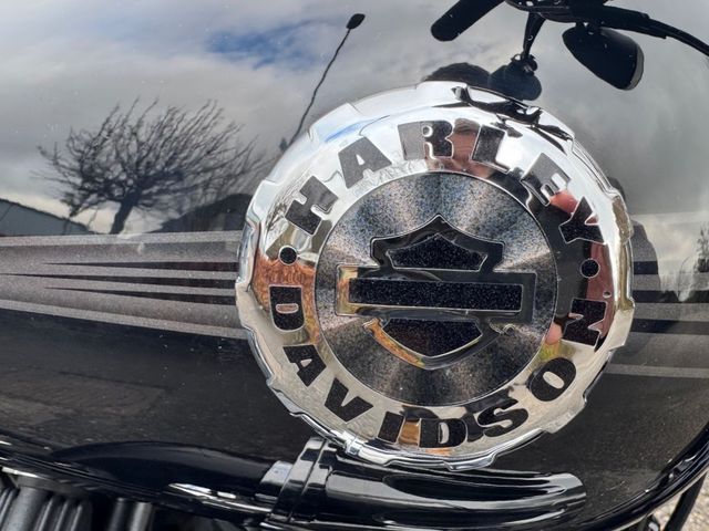 harley-davidson - breakout