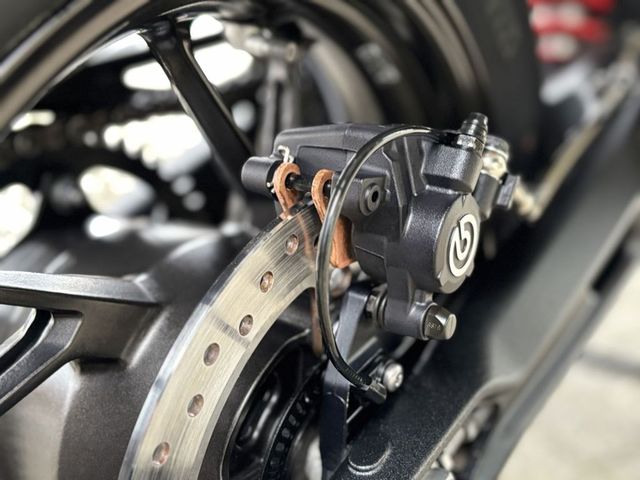 triumph - tiger-900-gt-pro