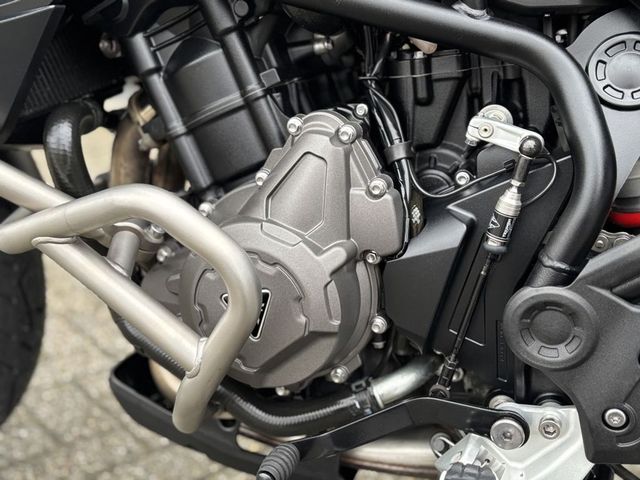 triumph - tiger-900-gt-pro