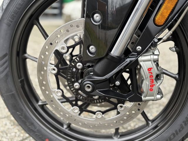 triumph - tiger-900-gt-pro