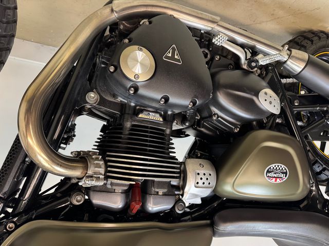 triumph - street-cup