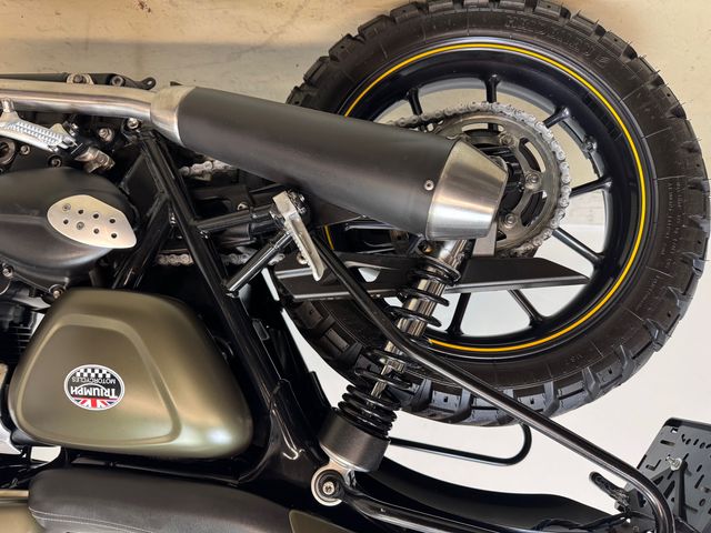 triumph - street-cup