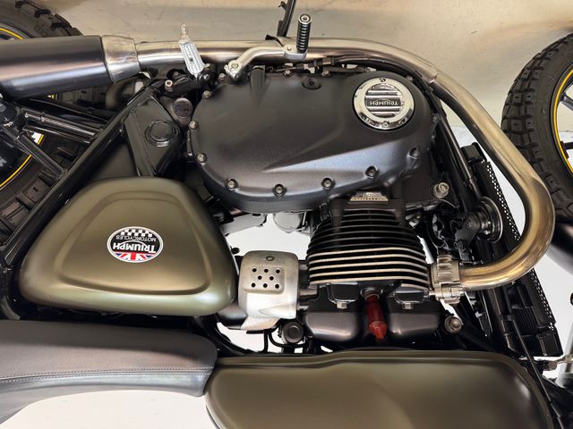 triumph - street-cup