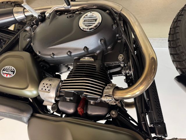 triumph - street-cup