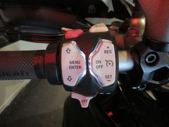 Ducati Multistrada 1200 Enduro ABS Koffers 2017 occasion – foto 12 van 15