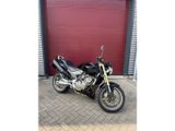 HONDA CB 600 F HORNET