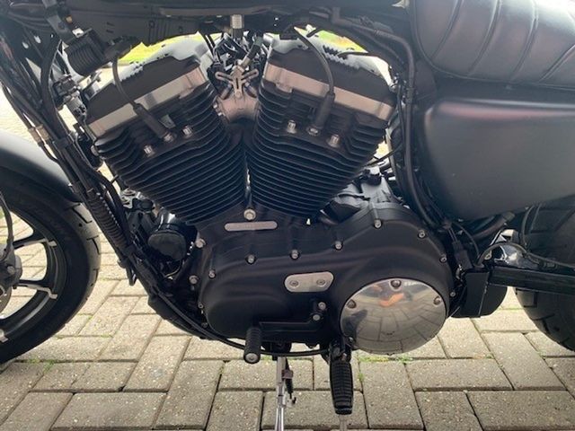 harley-davidson - sportster-iron-xl-883-n