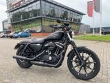 HARLEY-DAVIDSON SPORTSTER IRON XL 883 N