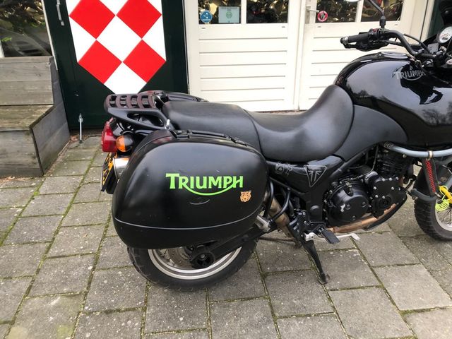 triumph - 955-i-tiger