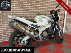 Aprilia Tuono 1000 R 2008 occasion – foto 3 van 14