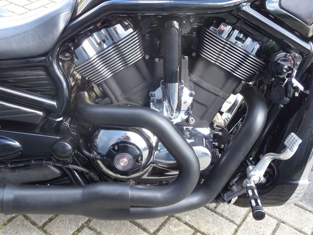 harley-davidson - night-rod-vrscd