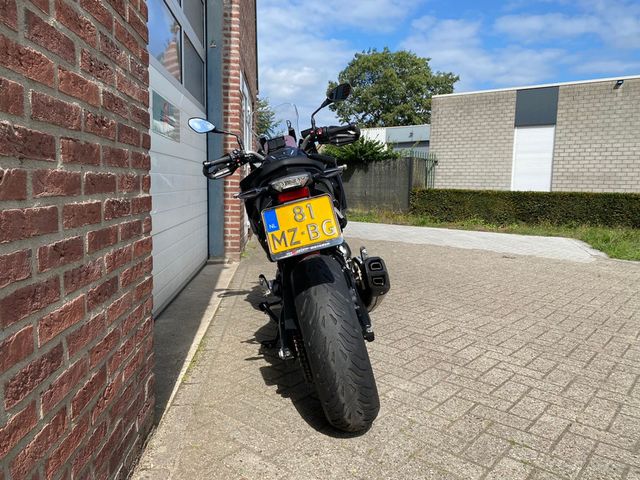 bmw - f-900-xr