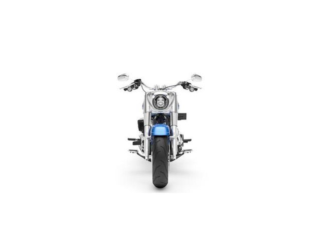 harley-davidson - fat-boy-flfb-softail