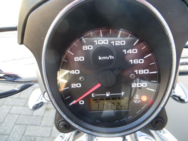 suzuki - new-intruder-m-800